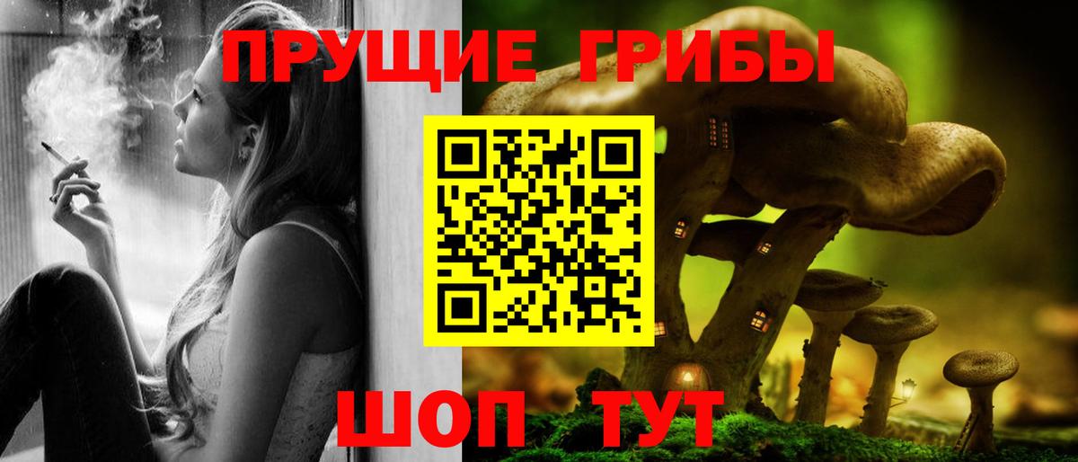 Галлюциногенные грибы Cubensis Бузулук